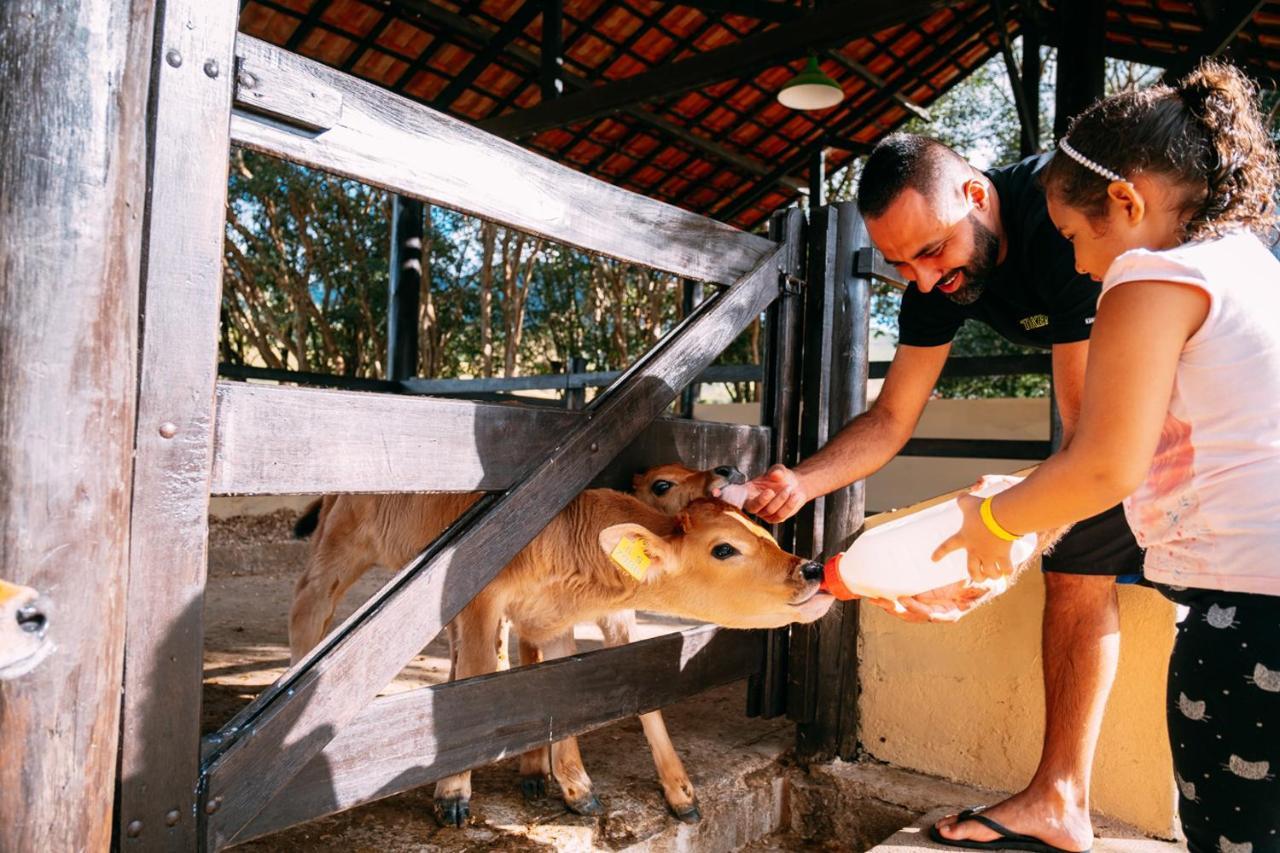 Hotel Fazenda Vale Da Mantiqueira Virginia Ngoại thất bức ảnh