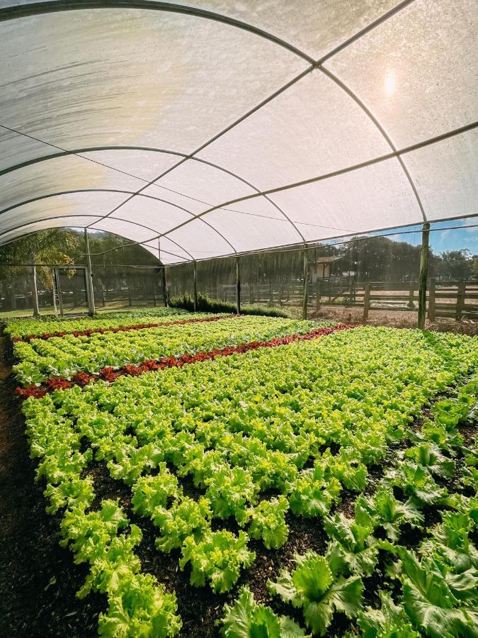 Hotel Fazenda Vale Da Mantiqueira Virginia Ngoại thất bức ảnh